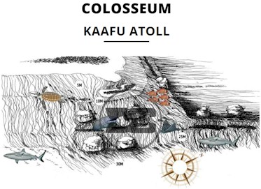 Colosseum